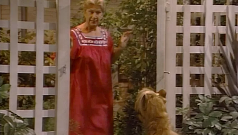 DE LUTO. Murió Liz Sheridan, la entrometida señora Ochmonek de la serie Alf.