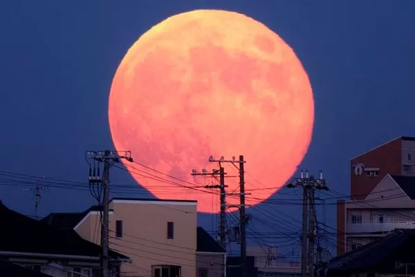 La Luna Rosa iluminará este fin de semana: a qué hora y cómo podrá verse
