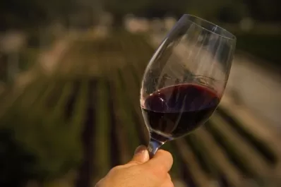Día mundial del malbec: “El Malbec llegó a 122 países en 2021”