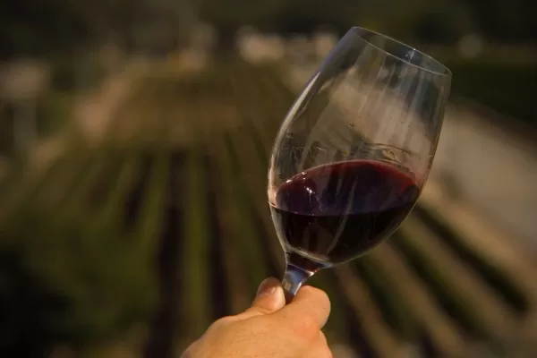 Día mundial del malbec: “El Malbec llegó a 122 países en 2021”