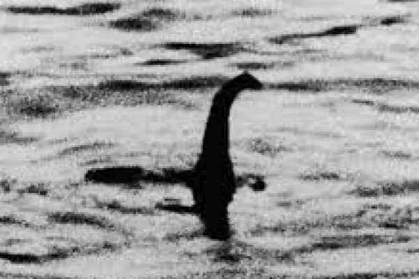 La última teoría sobre el monstruo del lago Ness: es el pene de una ballena
