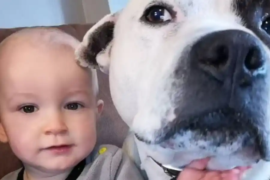 Tomy, en una foto junto a Blizzard antes del ataque del animal. 