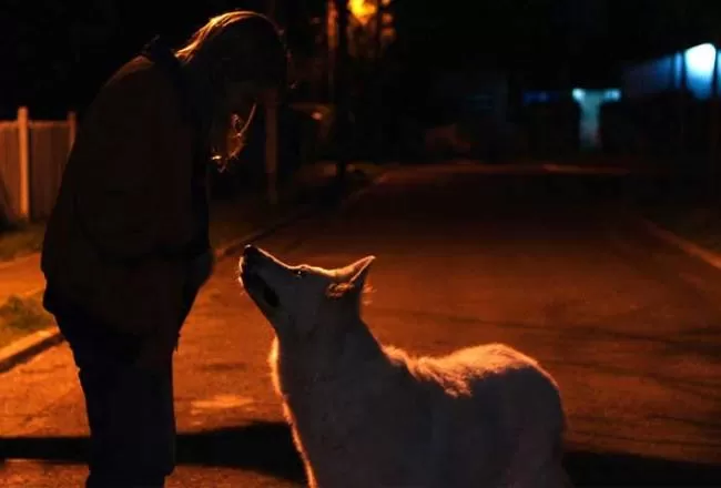 La película Las noches son de los monstruos se suma a la cartelera de Tucumán