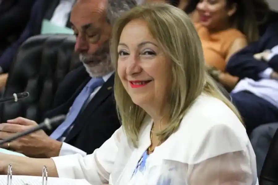 Consejo de la Magistratura: los 18 miembros confirmados y los dos postulantes a la espera