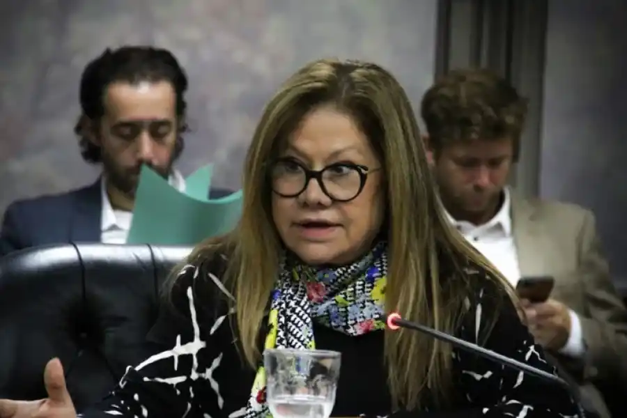 Consejo de la Magistratura: los 18 miembros confirmados y los dos postulantes a la espera