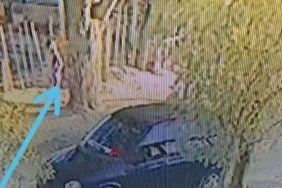 Un policía secuestró y violó a una nena de 5 años.