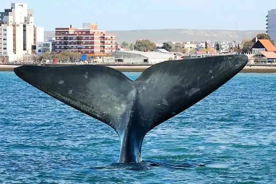 Previaje 3: tres destinos para aprovechar con reintegro del 50%