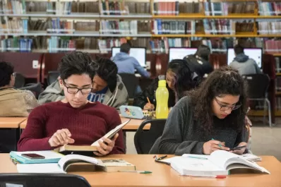 Profesionalizar la actividad