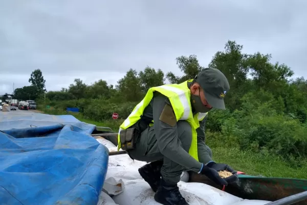 Gendarmería secuestró 88 toneladas de soja en la frontera