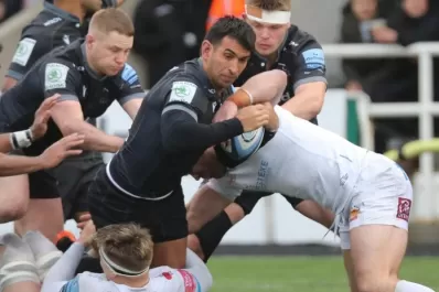 Rugby: ilusiones renovadas para Matías Orlando