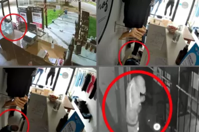 Entraba a robar, se arrastraba por el piso y quedó filmado: lo condenaron a cinco años