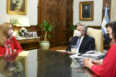 Alberto Fernández se reunió con especialistas en Salud Mental de la OMS y de la OPS