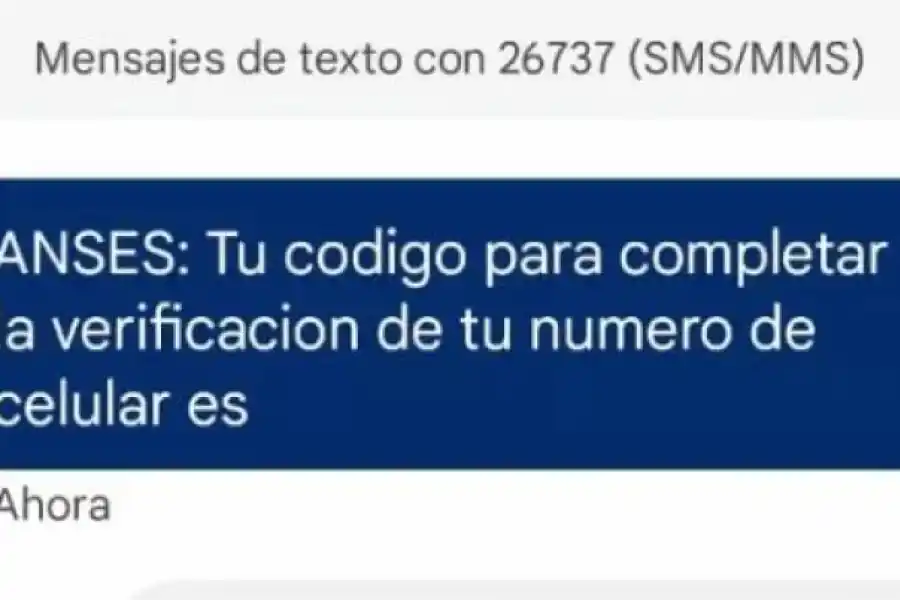 Anses envía un código de verificación por mensaje de texto.
