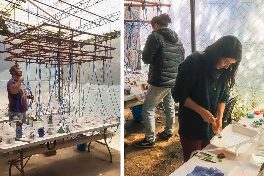 Foto tomada de: noasur.conicet.gov.ar