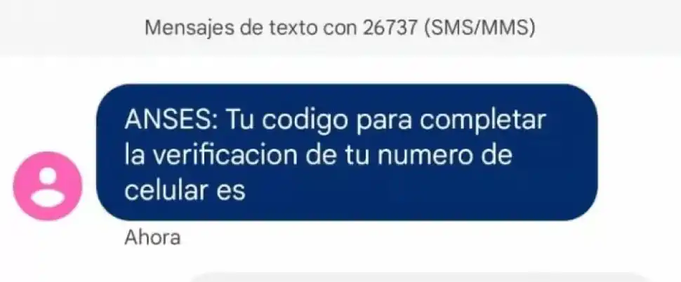 Anses envía un código de verificación por mensaje de texto.