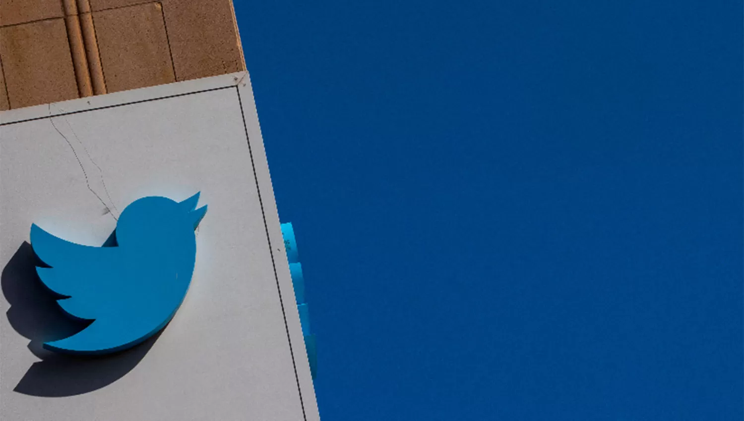 CRECIMIENTO. Los usuarios activos diarios de Twitter aumentaron hasta los 229 millones en el primer trimestre.