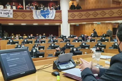 La Legislatura aprobó la creación del Instituto Provincial del Espectro Autista