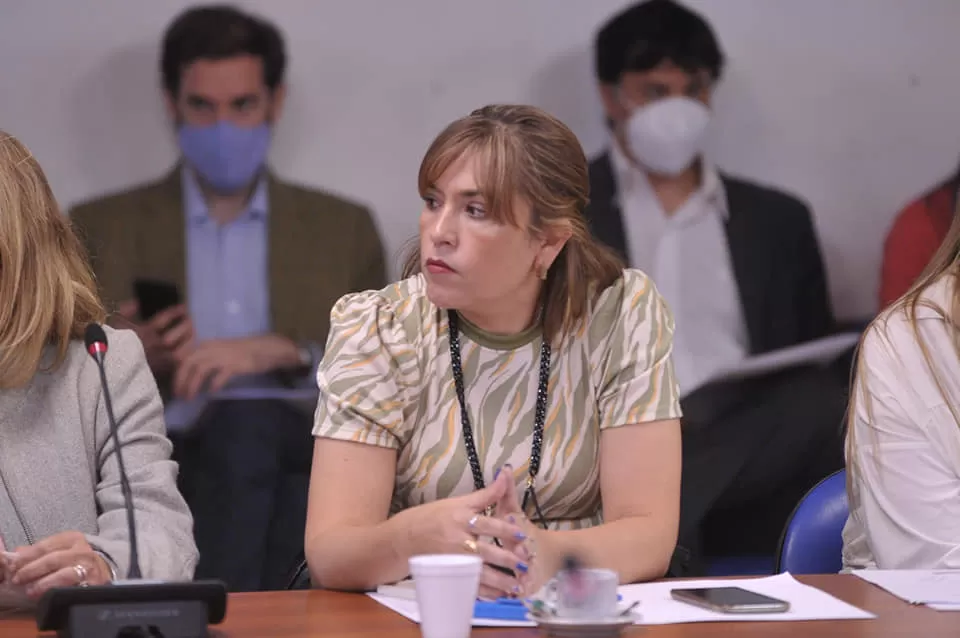 CAMPORISTA. La diputada nacional Mabel Carrizo es una de las referentes del kirchnerismo en Tucumán.