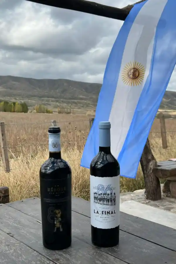 La Selección argentina campeona del 86'  lanza sus propios vinos: cuánto cuestan
