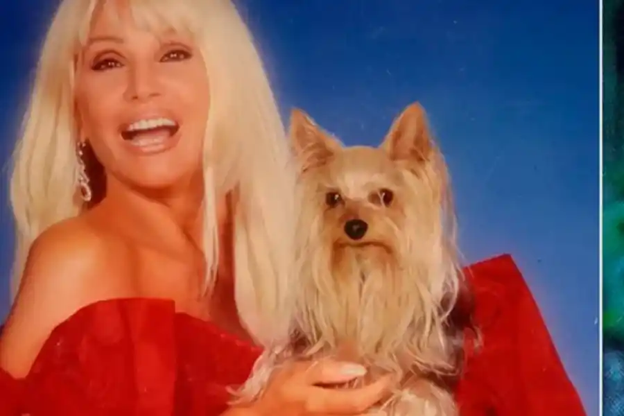 Día del animal: las más insólitas mascotas de los famosos