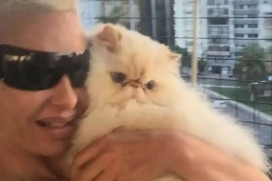 Día del animal: las más insólitas mascotas de los famosos