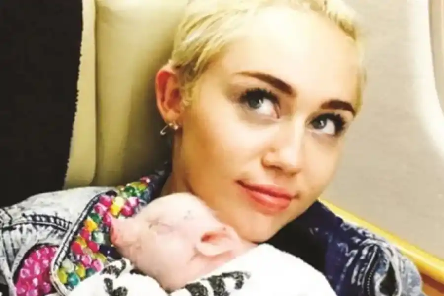 Día del animal: las más insólitas mascotas de los famosos