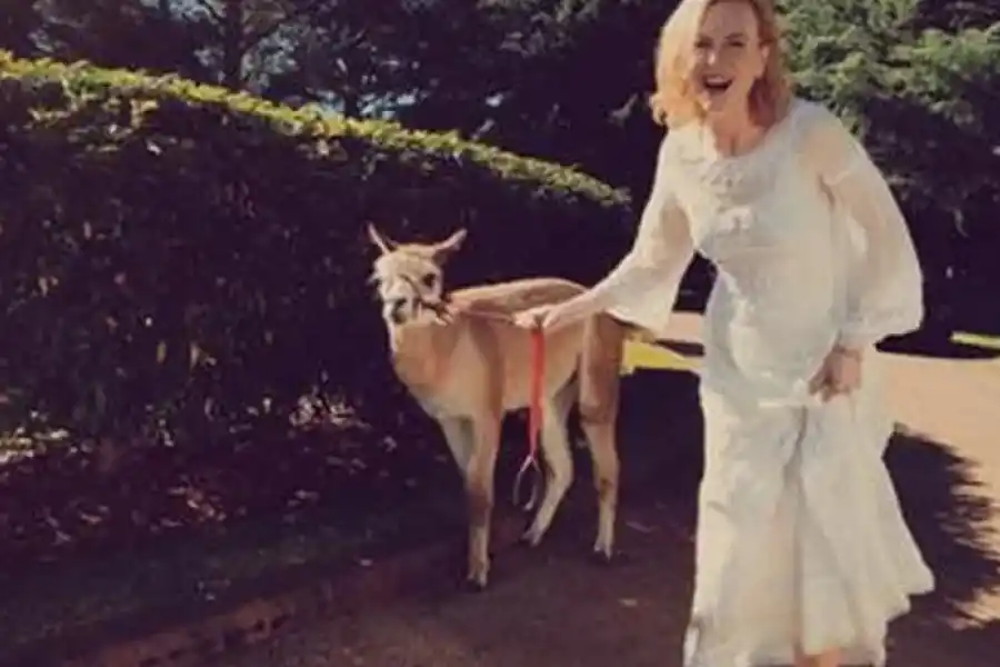 Día del animal: las más insólitas mascotas de los famosos