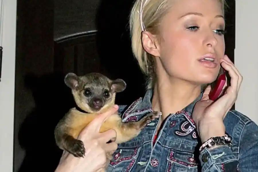 Día del animal: las más insólitas mascotas de los famosos