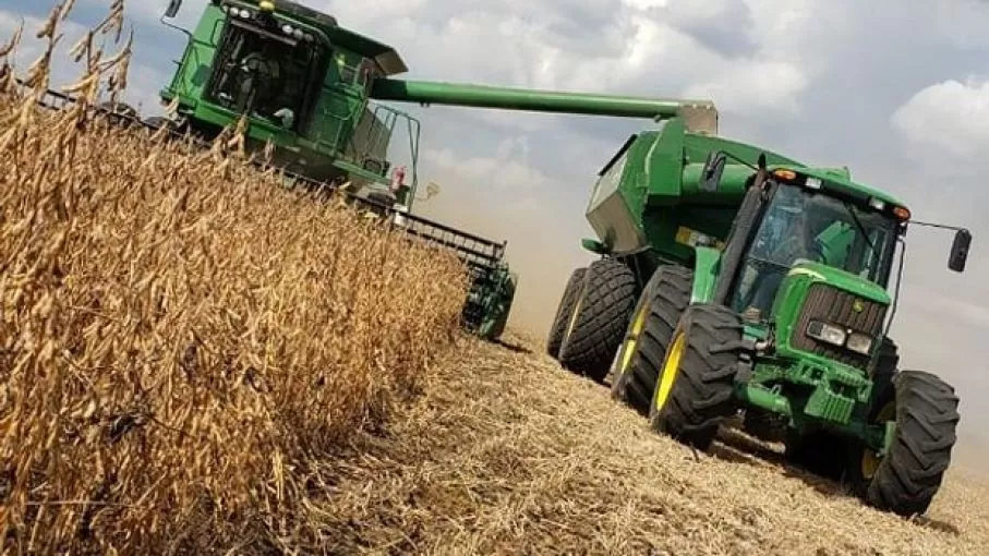 Ya se alcanzó el 46% de las 16,3 millones de hectáreas sembradas de soja
