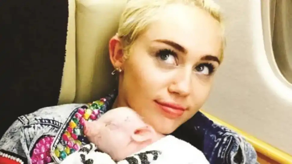 Día del animal: las más insólitas mascotas de los famosos