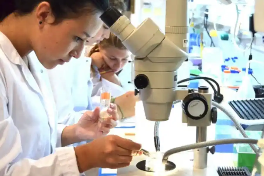 Barcelona: desarrollaron el primer anticuerpo capaz de bloquear la metástasis