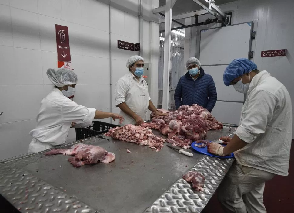 TRABAJO ARTESANAL. Los empleados separan la carne de cerdo que será utilizada en los chacinados.  