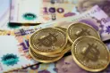 Lanzan un proyecto para digitalizar el peso argentino