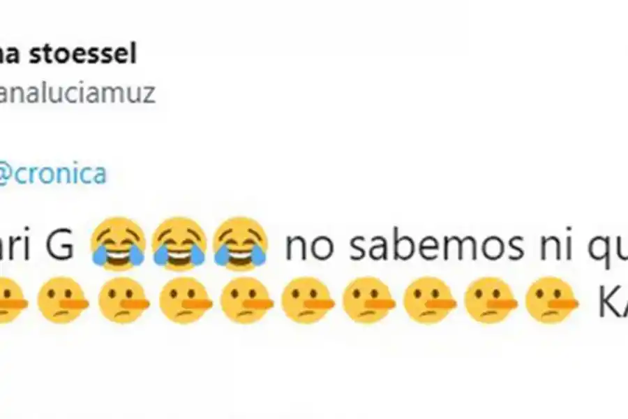 El descargo de la mamá de Tini Stoessel en Twitter