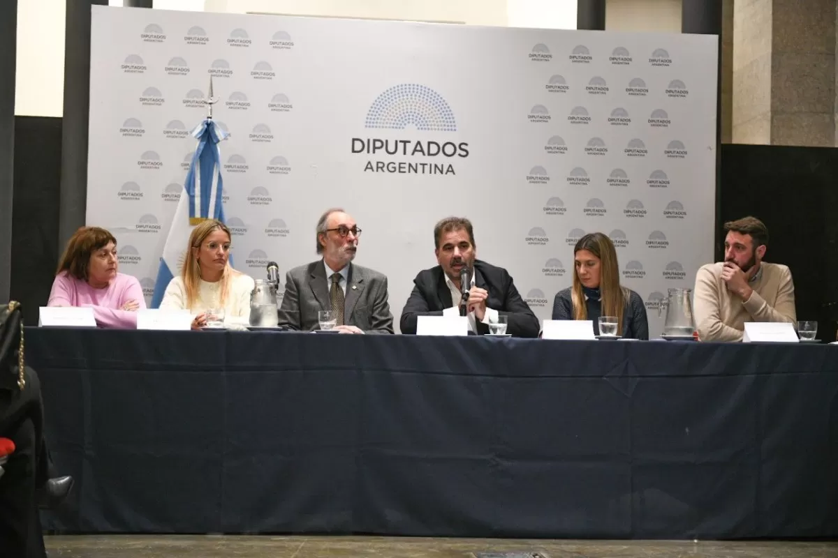 El PRO presentó el proyecto “Ficha Limpia” para evitar las candidaturas de condenados 