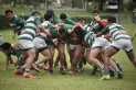 Rugby: impronta y empuje taurino