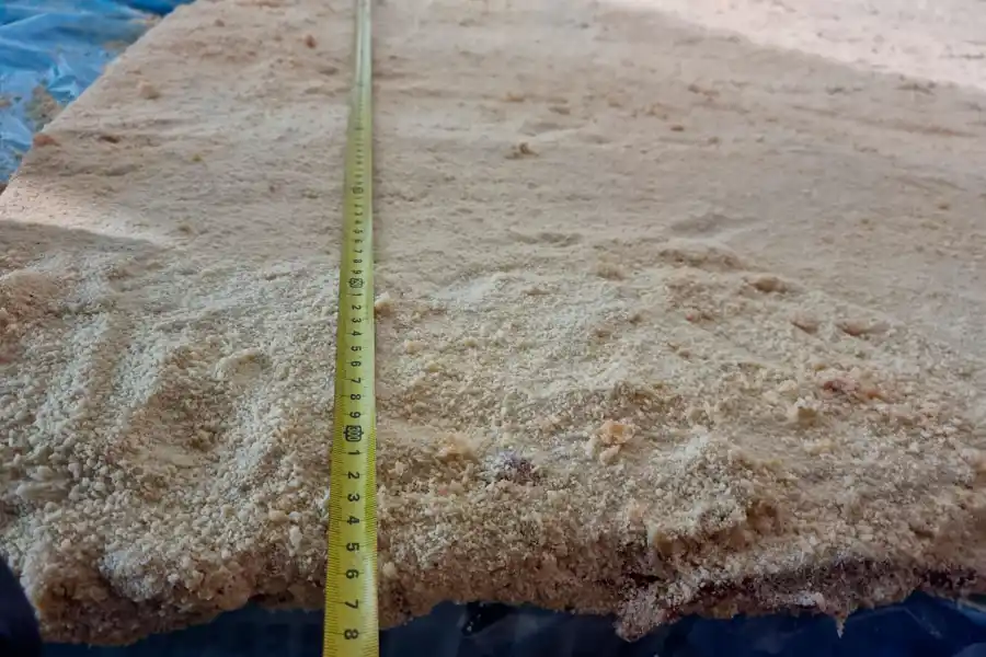 Día de la Milanesa: frente a la Basílica de Luján cocinarán la más grande del mundo