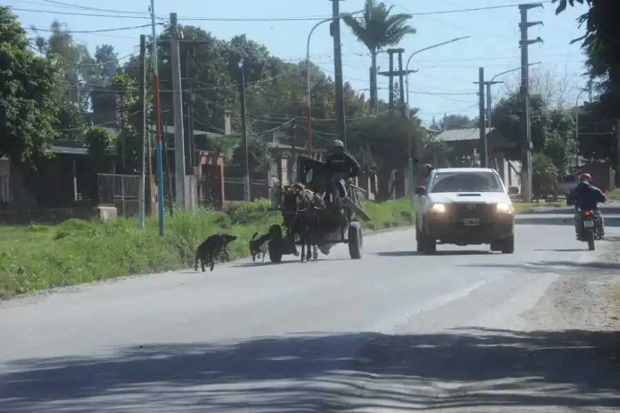 LA GACETA / FOTOs DE ANTONIO FERRONI 