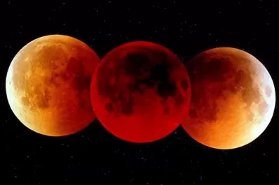 Eclipse total de Luna 2022: cuándo, dónde y cómo verlo en Argentina