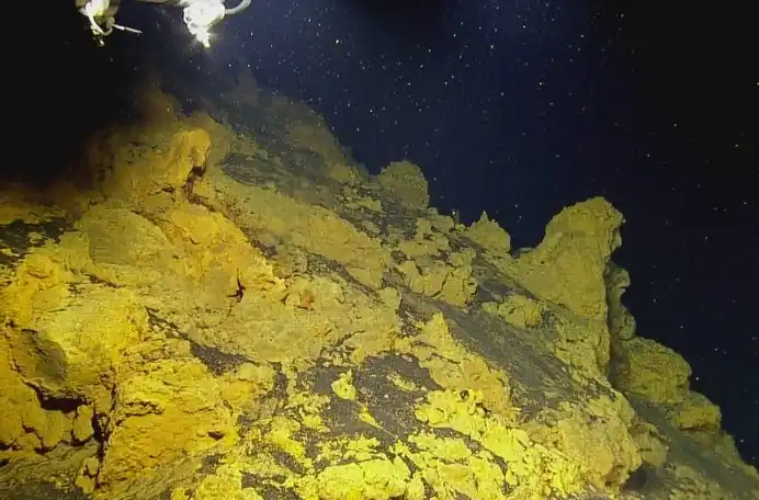 Durante todo el día, los investigadores brindan imágenes en vivo 