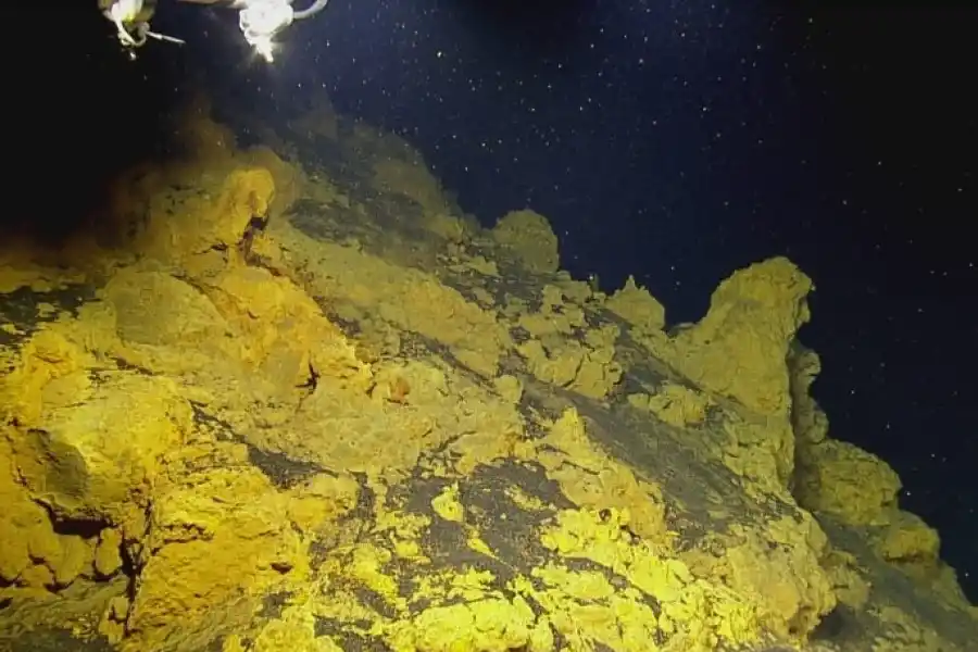 Durante todo el día, los investigadores brindan imágenes en vivo 