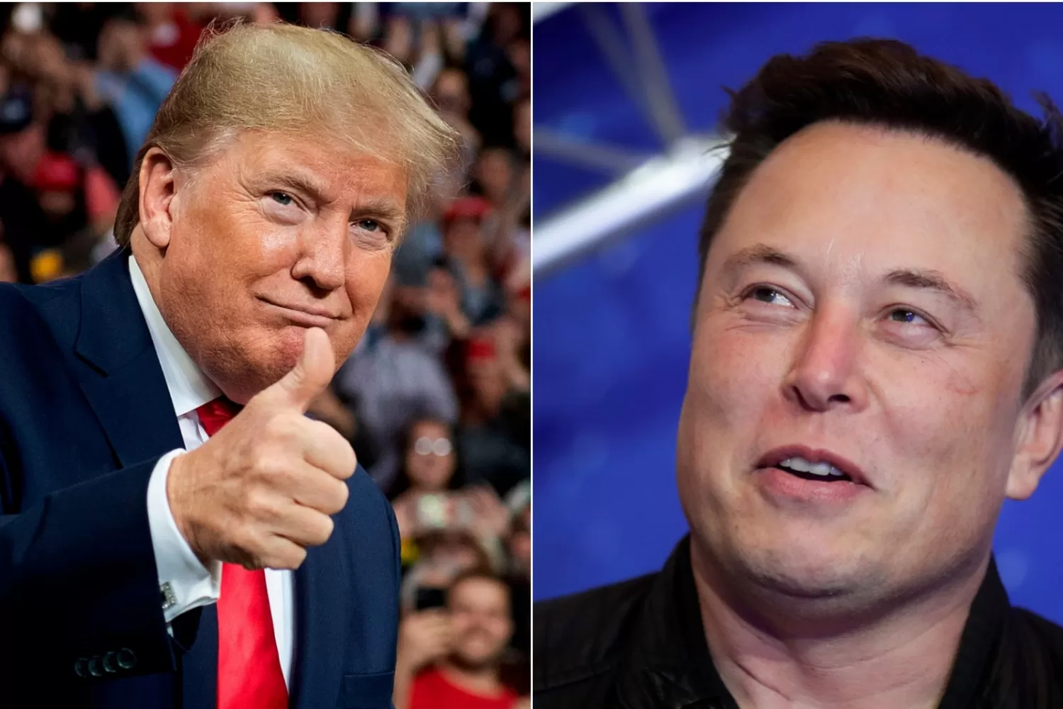 Elon Musk quiere levantar la prohibición de usar Twitter a Donald  Trump