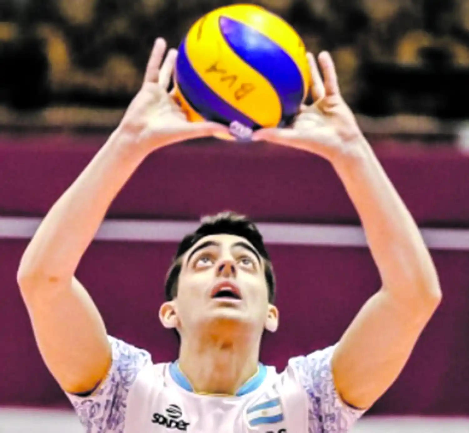 Juntos por la sangre y el deporte: el éxito juega entre padres e hijos