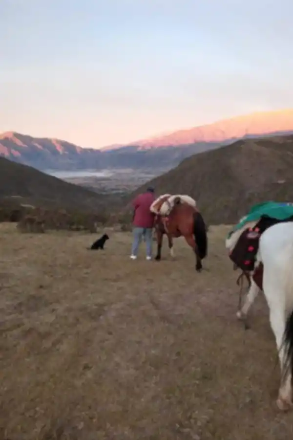 Todo lo que tenés que saber sobre el censo 2022