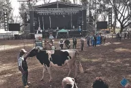 Hoy finaliza la tradicional Expo Láctea, con conferencias para el sector