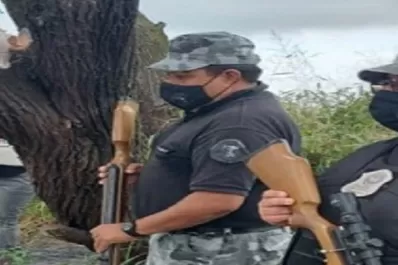 Cazaban aves con rifles de aire comprimido y resorteras