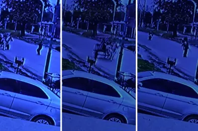 Dramático ataque: las cámaras de seguridad ayudarán a esclarecer el crimen del carrero