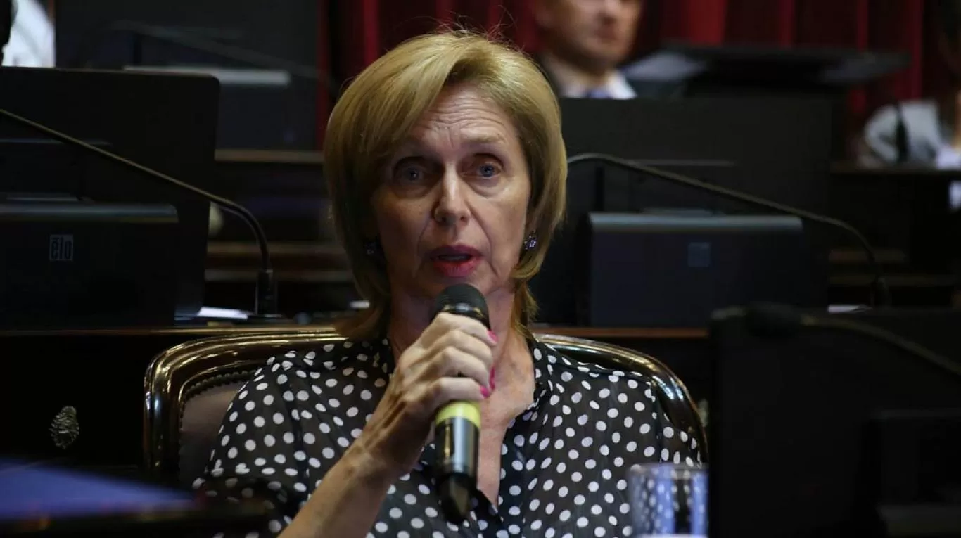 EN LA CÁMARA ALTA. Beatriz Rojkés de Alperovich formó parte del Senado de la Nación hasta 2015. Foto de Twitter @SariTuc