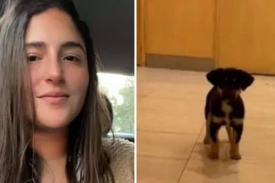 Una chica le robó el cachorro a un indigente y la destrozaron en las redes