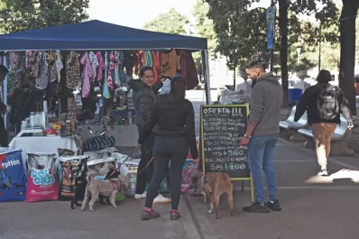 El Mercado en tu Barrio: dónde estarán los puestos esta semana